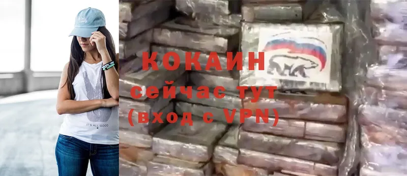 купить   Беломорск  Cocaine VHQ 